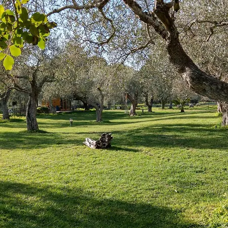 Residenza Uliveto Su Contu Apartment *