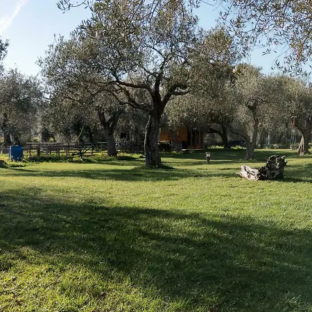 Residenza Uliveto Su Contu Alghero