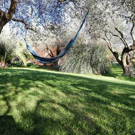 Apartment Residenza Uliveto Su Contu Alghero